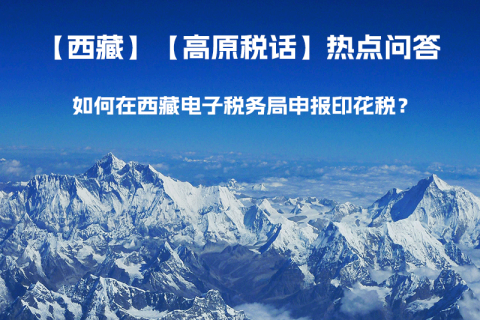 如何在西藏自治區(qū)電子稅務(wù)局申報(bào)印花稅？