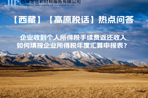 企業(yè)收到個(gè)人所得稅手續(xù)費(fèi)返還收入，如何填報(bào)企業(yè)所得稅年度匯算申報(bào)表？