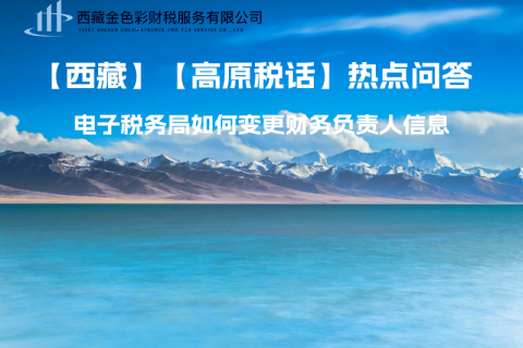 西藏電子稅務(wù)局如何變更財(cái)務(wù)負(fù)責(zé)人信息？